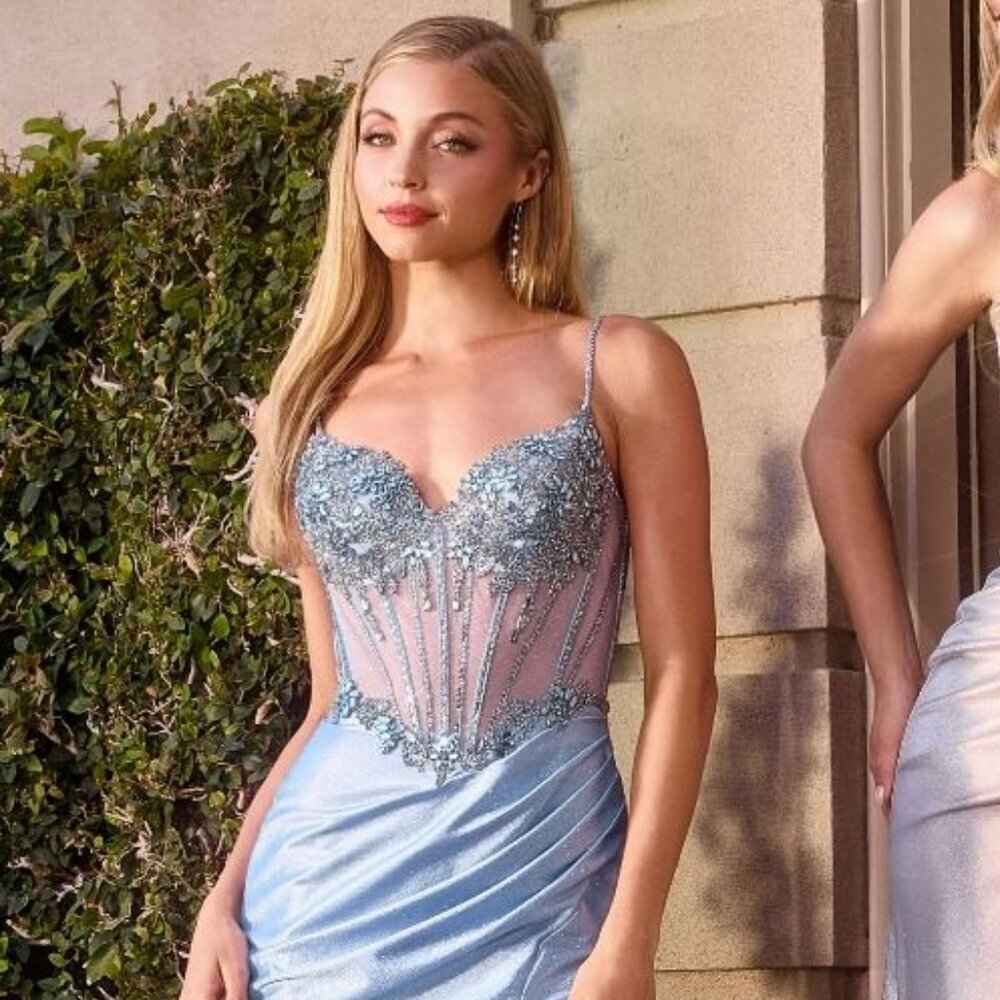 New Sheath Formal Sleeveless Dress w/ Sheer Boned Bodice & Rhinestones CD CC408